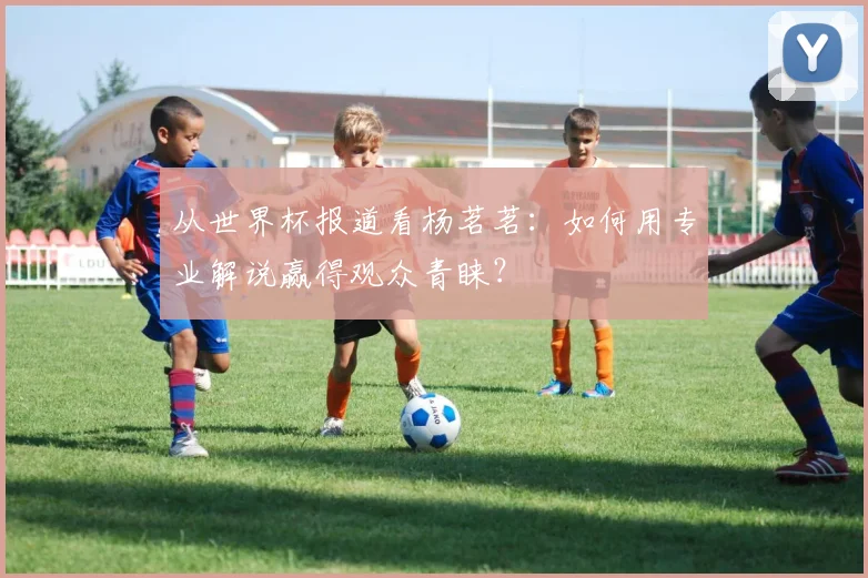 从世界杯报道看杨茗茗：如何用专业解说赢得观众青睐？