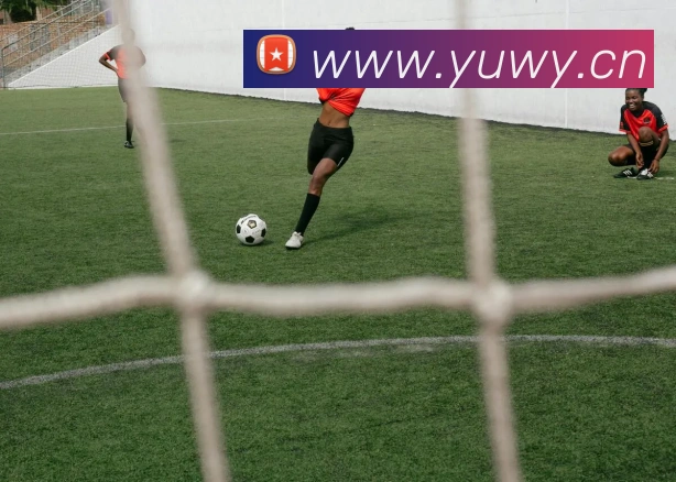 开云在线手机登陆APP 封面图